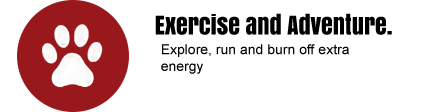Exercise